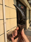 Erebus Talon