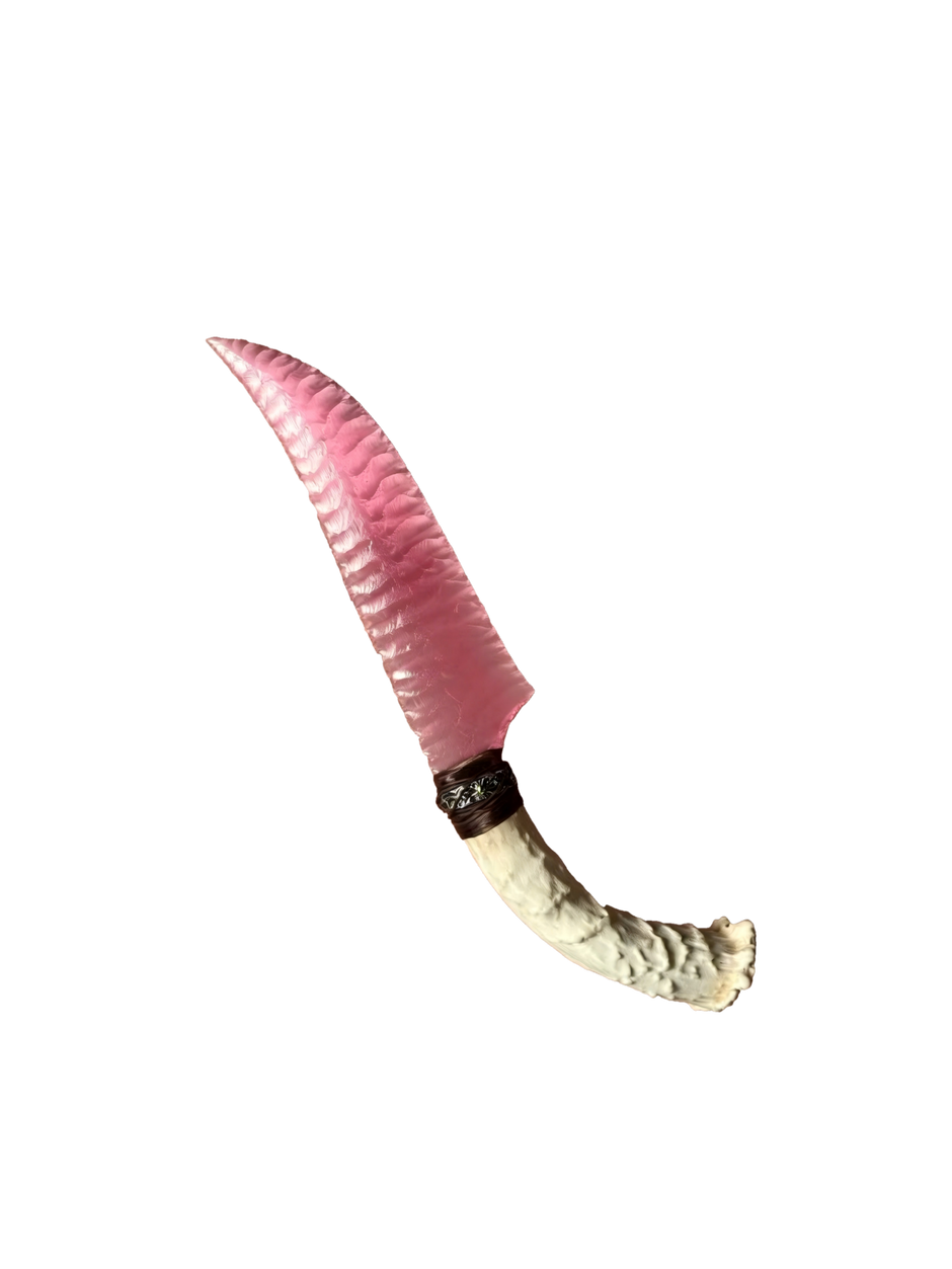 PINK PUPIL